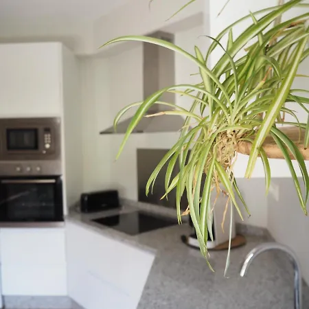 O Rincon Da Camposa 穆希亚